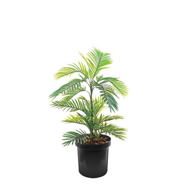 Silk Plants Office Plant for Offices | Cecil Nurse