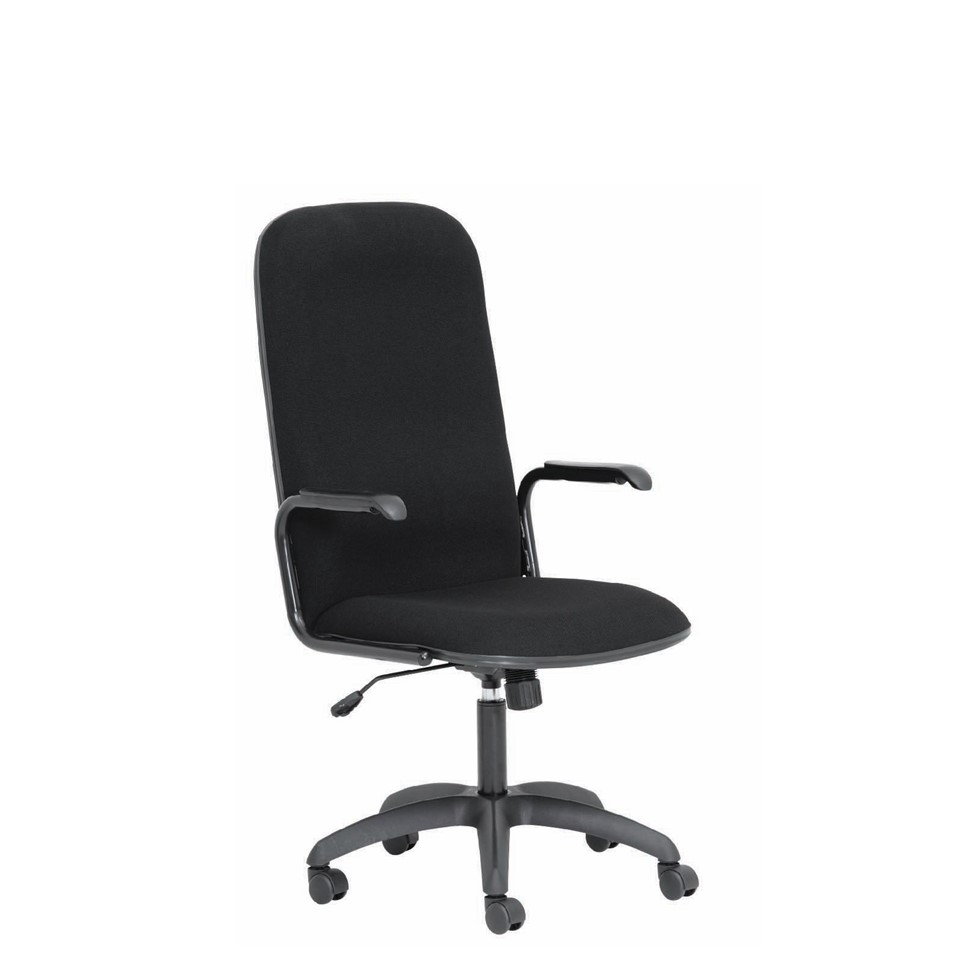 Fling Office Chair for Offices | Cecil Nurse