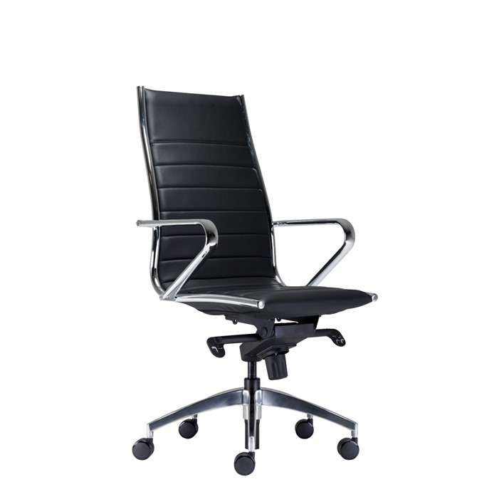 Skipper Exec Office Chair for Offices | Cecil Nurse